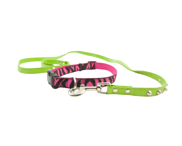 Colars & Leashes - Paw Easy