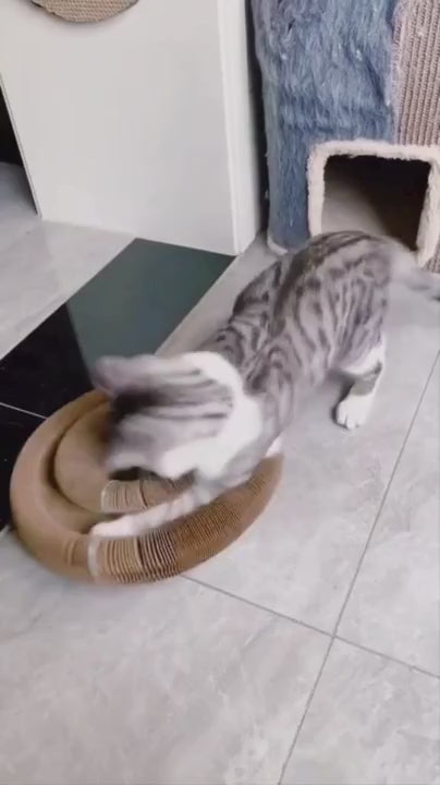 Magic Cat Scratch Board™